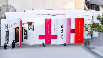 实验室带你过周末 2019.12.14-12.15 深圳广告设计主题体验