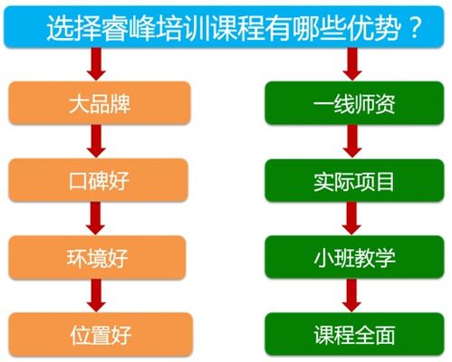 成都网络营销培训与网络技术服务概览